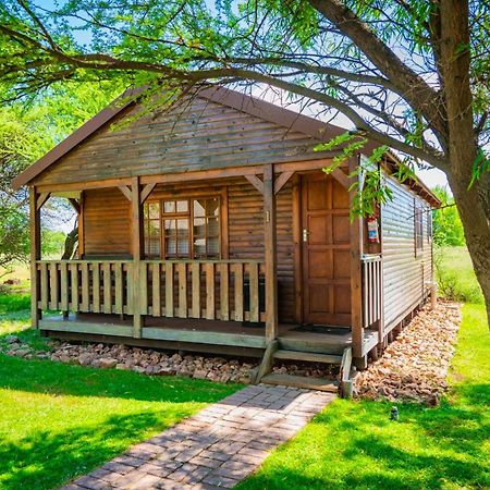 Accommodation Black Ginger Warrenton エクステリア 写真